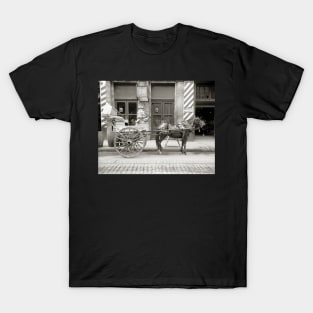 New Orleans Milk Cart, 1910. Vintage Photo T-Shirt